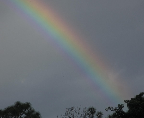 A Seen Image